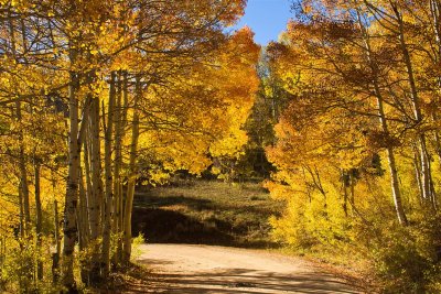 Washington Gulch Road