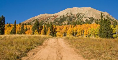 Washington Gulch Road