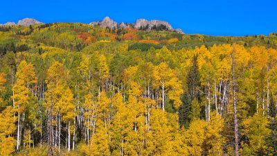 Kebler Pass