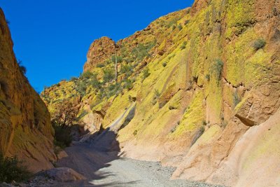  Box Canyon 