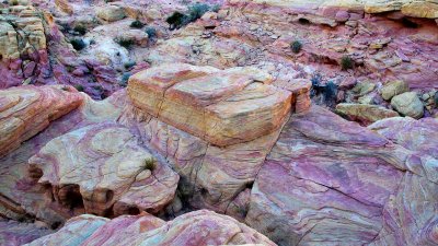  Valley of Fire SP