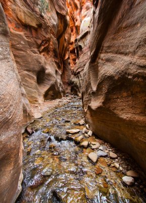 Kanarra Creek