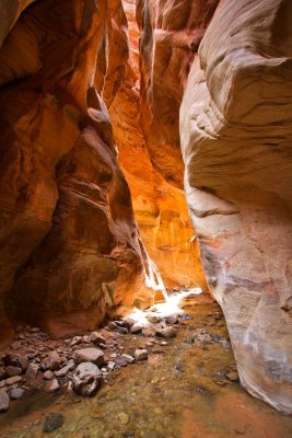 Kanarra Creek