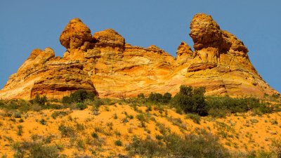 South Coyote Buttes