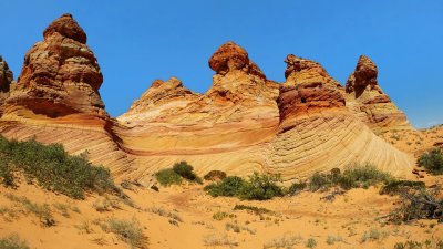 Cottonwood Cove