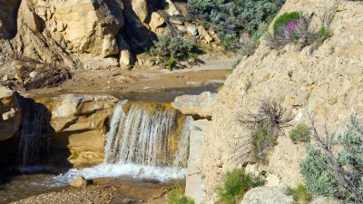 Escalante