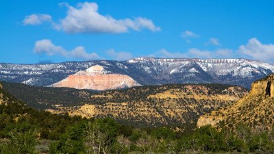 Escalante