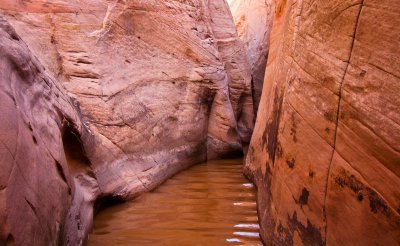 Zebra Slot Canyon