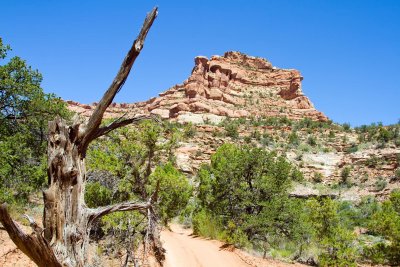  Arch Canyon 