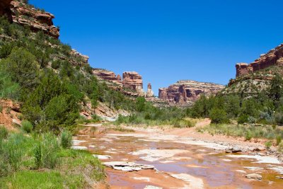  Arch Canyon 