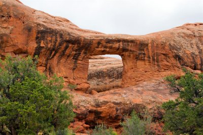   Picture Frame Arch 