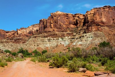  Spring Canyon