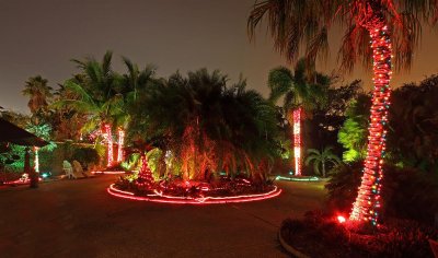 Christmas, Botanical Garden