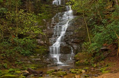 Reedy Branch Falls