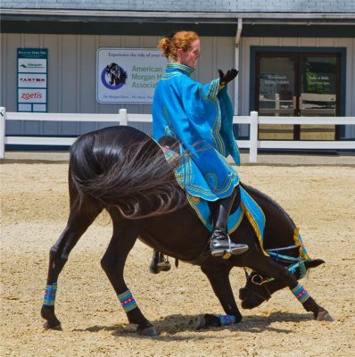 Kentucky Horse Park