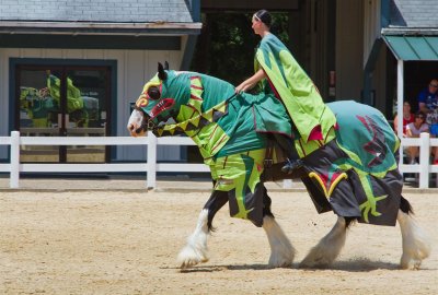 Kentucky Horse Park