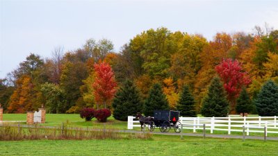 Shipshewana Autumn Morning