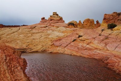 Cottonwood Cove