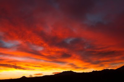  Globe Sunrise