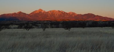 Santa Rita Mountains