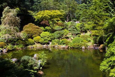 Japanese Garden 1, Portland