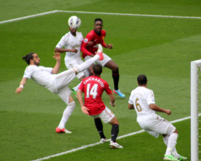 Chico Clearance