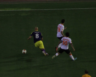 Shelvey Run
