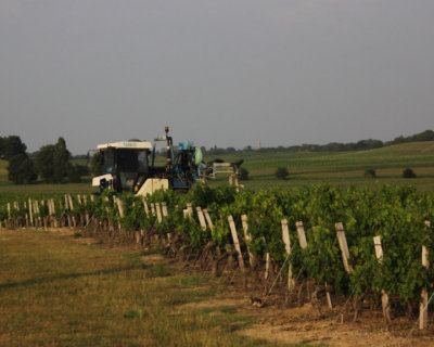 Harvesting