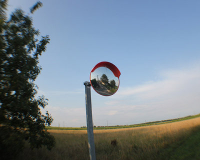 Fish Eyed Fish Eye
