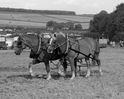 The Great Dorset Steam Fair