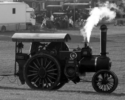 The Great Dorset Steam Fair