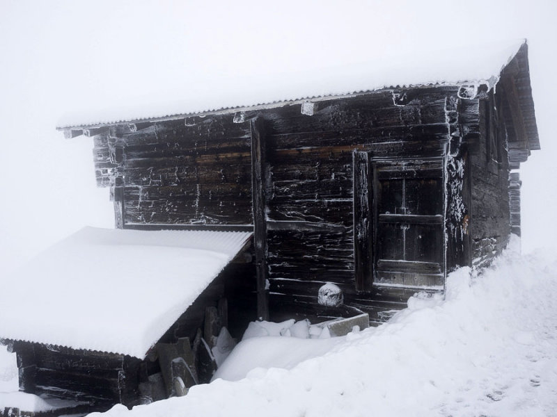 Freezing fog