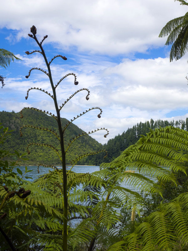 Blue Lake Vista