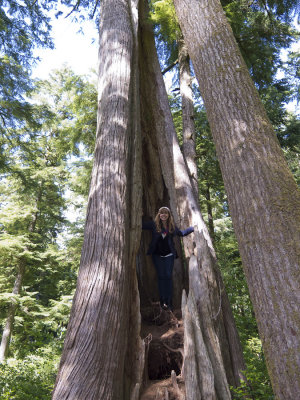 Kristin in the cedar