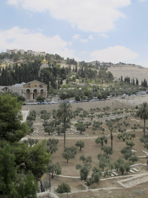 Mount of Olives from below
