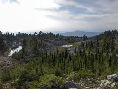 Obsidian area