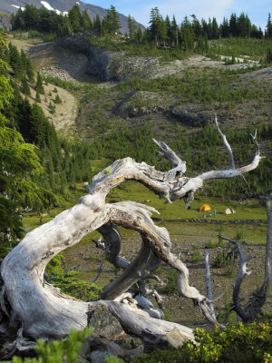 Pacific Crest Trail Hike