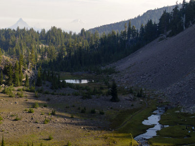 Morning light on the meadow