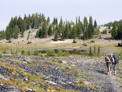 On the trail again