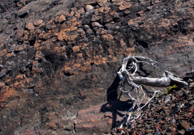 Rock and wood