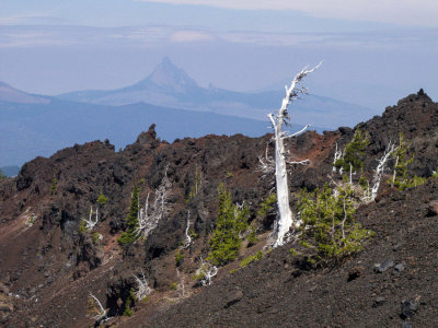 Oppie Dildock pass vista