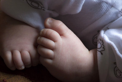 toes 2