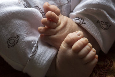 toes 3