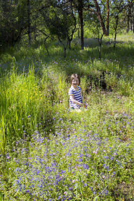 Josie in the meadow