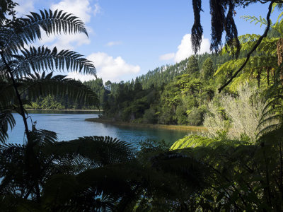 Blue Lake (near Rotorua)