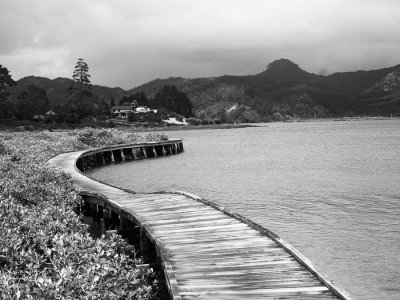 mangrove swamp walkway