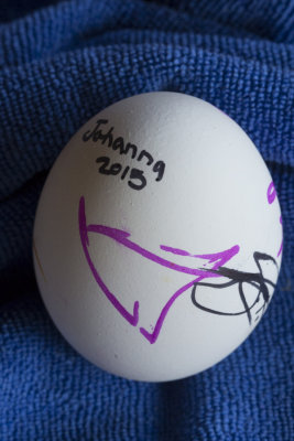 johanna's first egg