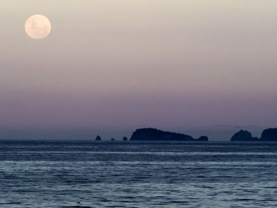 Christmas Ocean Moonrise