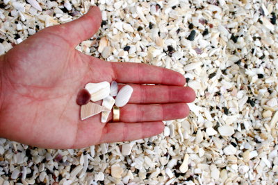shell sand