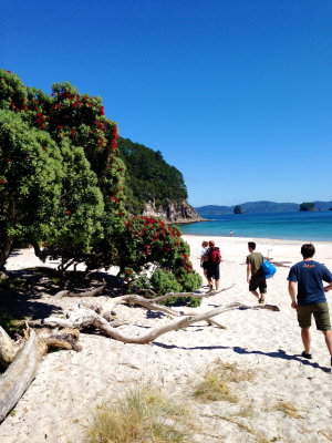 hike to cathedral cove